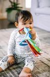 cumpără Iinel dentiție Baby Einstein 11794 Jucarie-carte pentru dentitie în Chișinău 