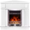 купить Камин электрический ArtFlame Marina de colt nut & Gala silver в Кишинёве 
