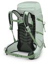 купить Туристический рюкзак Osprey Tempest 33 Frosty Mint Green/Botanica (810145592380) в Кишинёве 