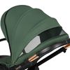 купить Детская коляска Lionelo Carucior 2in1 Layla Green Forest в Кишинёве 