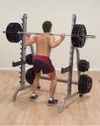 купить Гантель inSPORTline 12853 Suport Bare Reglabil (Max.450kg) GPR370 IN28937 (box1.2) в Кишинёве 
