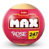 cumpără Set de construcție ZURU 83189 Jucarie Rose Collection, Series 1 în Chișinău 