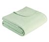 cumpără Cuvertură Ibena 2283/762 Jacquard Decke Malaga 140x200 Light green în Chișinău 