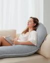 купить Подушка для мам Momcozy PP007-GR00NB-C Perna pentru maternitate in forma F Velvet Grey в Кишинёве 