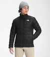 купить Куртка TheNorthFace TBALL ECO JKT TNF BLACK,NF0A5GLLJK31005 в Кишинёве 