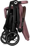 купить Детская коляска Lionelo Ingrid Pink Mauve в Кишинёве 