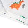 cumpără Set de perne si plapume Akuku A0685 Dinosaurs, paturica din muselina 110x105cm în Chișinău 