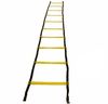 купить Спортивное оборудование PX Sport 18188 Agility Ladder 5m, PA010 в Кишинёве 