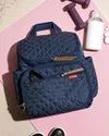 купить Сумка для мам Skip Hop 9J455710 Forma Backpack Navy в Кишинёве 