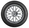 купить Шина Riken 235/40 R 18 95V SNOW XL в Кишинёве 