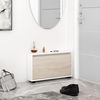 купить Полка для обуви Mobildor-Lux Leo Slim 50x16x47H cm White/Sonoma в Кишинёве 