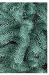 купить Декоративная ёлка Promstore 47680 Brad artificial Prezident albastru, ace turnate, 250cm, 1156ramuri, PE в Кишинёве 