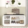 cumpără Raft pentru încălțăminte Hanah Home Mr2-W White în Chișinău 