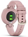 cumpără Ceas inteligent Garmin Lily™ Cream Gold Bezel (010-02384-13) în Chișinău 