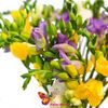 Buchet Mix din Fresia