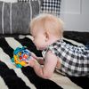 cumpără Zornăitoare Baby Einstein 16766 Curious Car Neptune Oball în Chișinău 
