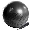 cumpără Minge HMS YB03 Abisal 75cm Black Gym Ball în Chișinău 