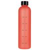 купить Бутылочка для воды HMS 13610 Sticla 1000ml Tritan Red NCD61 (15-02-054) в Кишинёве 