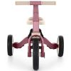 купить Велосипед Petite&Mars 5in1 Turbo Dusty Rose (613821) в Кишинёве 