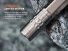 купить Фонарь Fenix SILVGLOW LED Flashlight (Natural Color) в Кишинёве 