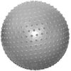 купить Мяч Arena мяч фит 8404955-GR серый 55 см с массажем в Кишинёве 