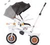 купить Велосипед-коляска Chipolino TRKMRT02402BW Marathon black/white в Кишинёве 