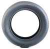 купить Шина Fronway 215/65 R16 98H Ecogreen 55 (2EFW519G) в Кишинёве 