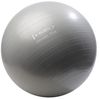 купить Мяч HMS 9477 Minge gimnastica d=75cm cu pompa Gray YB02 (17-42-179) в Кишинёве 