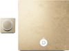 cumpără Amplificator Devialet Astra Dual Opéra de Paris în Chișinău 