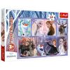 cumpără Puzzle Trefl 14345 Puzzles - 24 Maxi - A world full of magic în Chișinău 