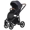 купить Детская коляска Riko Carucior 2in1 Basic Idol 04 Anthracite в Кишинёве 