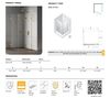 купить Душевая кабина New Trendy Eventa Gold Shine Rectangular R 100x100x200 cm 8mm EXK-4734 в Кишинёве 