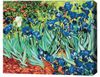 cumpără Tablou pe numere BrushMe BS51339 (în cutie) Irisi. Van Gogh în Chișinău 
