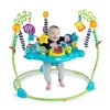 cumpără Leagăn pentru bebeluși Baby Einstein 13094 Centru de activitati cu jucarie electronica Curiosity Cove în Chișinău 