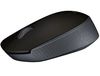 cumpără Logitech M171 Wireless Mouse Black, USB, 910-004424 (mouse fara fir/беспроводная мышь) www în Chișinău 