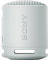 купить Колонка портативная Bluetooth Sony SRSXB100H в Кишинёве 