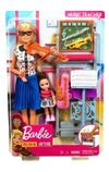 купить Кукла Barbie M-FXP18 Profesoară de muzică в Кишинёве 