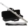 cumpără Instrument muzical de suflat Classic Cantabile FL-100 00046565 în Chișinău 