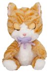 купить Мягкая игрушка Imc Toys 921139 Baby Paws W2 Cat в Кишинёве 