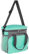 купить Сумка холодильник Noveen LBB520 Thermal Bag в Кишинёве 