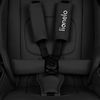 купить Детская коляска Lionelo Carucior 2in1 Mika Plus Black Onyx в Кишинёве 