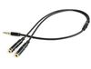 купить Gembird CCA-417M 3.5mm 4-pin plug to 3.5mm stereo + microphone sockets adapter cable, allows connecting standard headsets and microphones to tablets, netbooks, ultrabooks etc., 0.2m Black в Кишинёве 