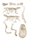 cumpără Joc educativ de masă Clementoni 1026-50908 Descopera Dinozaurul T-Rex în Chișinău 