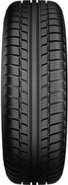 купить Шина Starmaxx 185/70 R14 Ice Gripper W810 88T в Кишинёве 
