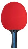 cumpără Articol de tenis Stiga 1213-3318-01 Bat Future 3-Star în Chișinău 