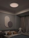 купить Освещение для помещений Yeelight by Xiaomi Arwen Ceiling Light 450C в Кишинёве 