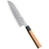 cumpără Cuțit Takumi Hoshibito Santoku Knife (TK-PM8O-RS) în Chișinău 
