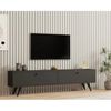 cumpără Comodă TV Trendy Suport TV, Paris, Antracit, 160x40x25cm în Chișinău 