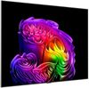 купить Телевизор LG OLED77B65LA в Кишинёве 