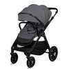 купить Детская коляска Lionelo Carucior 2in1 Layla Grey Stone в Кишинёве 